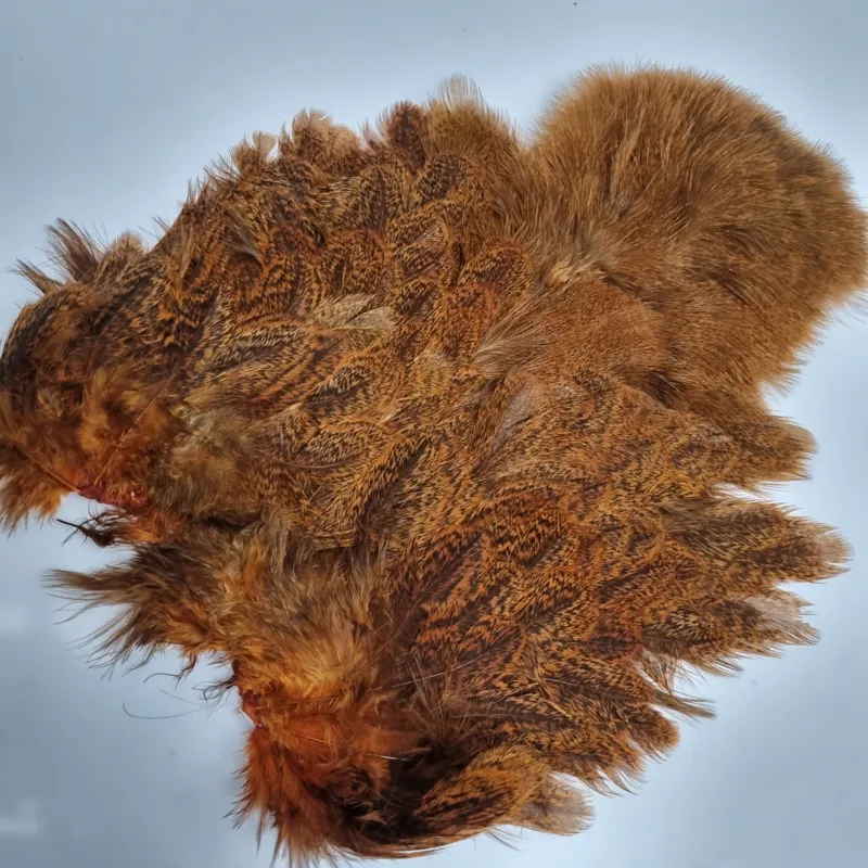 Whiting Coq de Leon Hen Soft Hackle with Chickabou in Speckled Burnt Orange-5